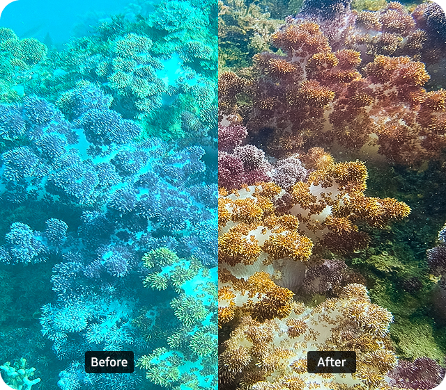 Comparison of photos before and after using Ocean Mode